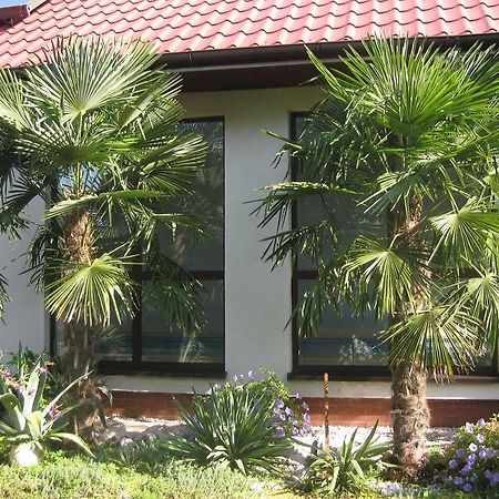 Pokoje Goscinne Pod Palmami Busko-Zdrój Esterno foto