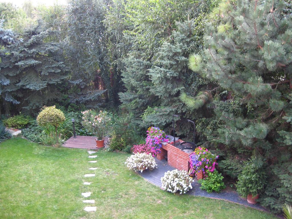 Pokoje Goscinne Pod Palmami Busko-Zdrój Esterno foto